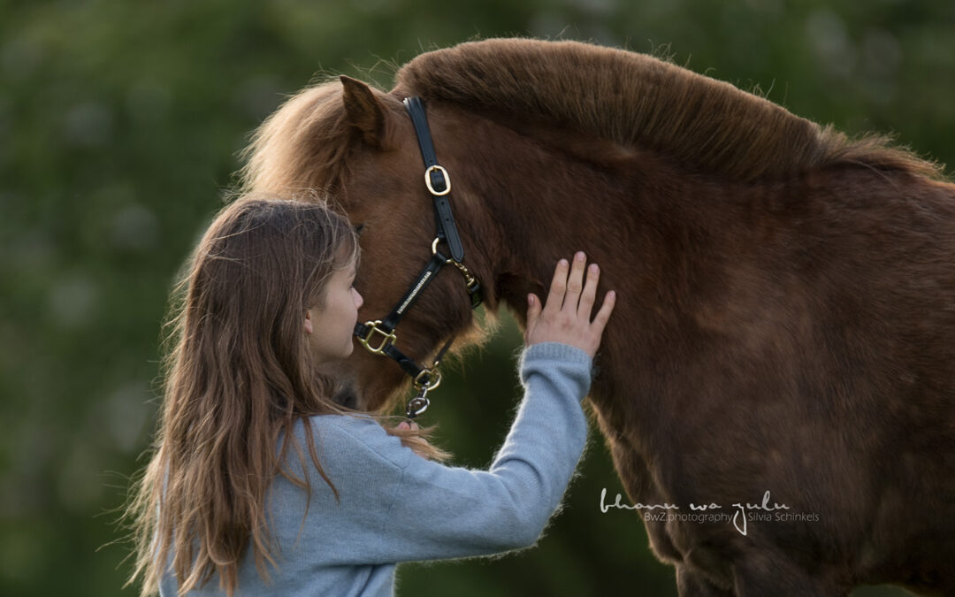 Pferdefotografie Silvia Schinkels